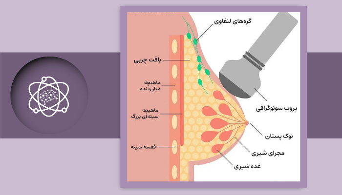 تفسیر اصطلاحات رایج در سونوگرافی پستان