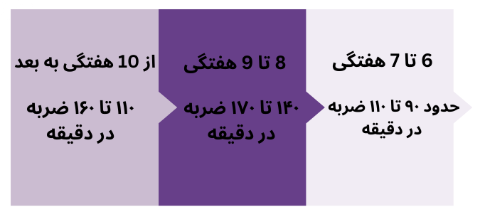 مقادیر طبیعی فعالیت قلب جنین